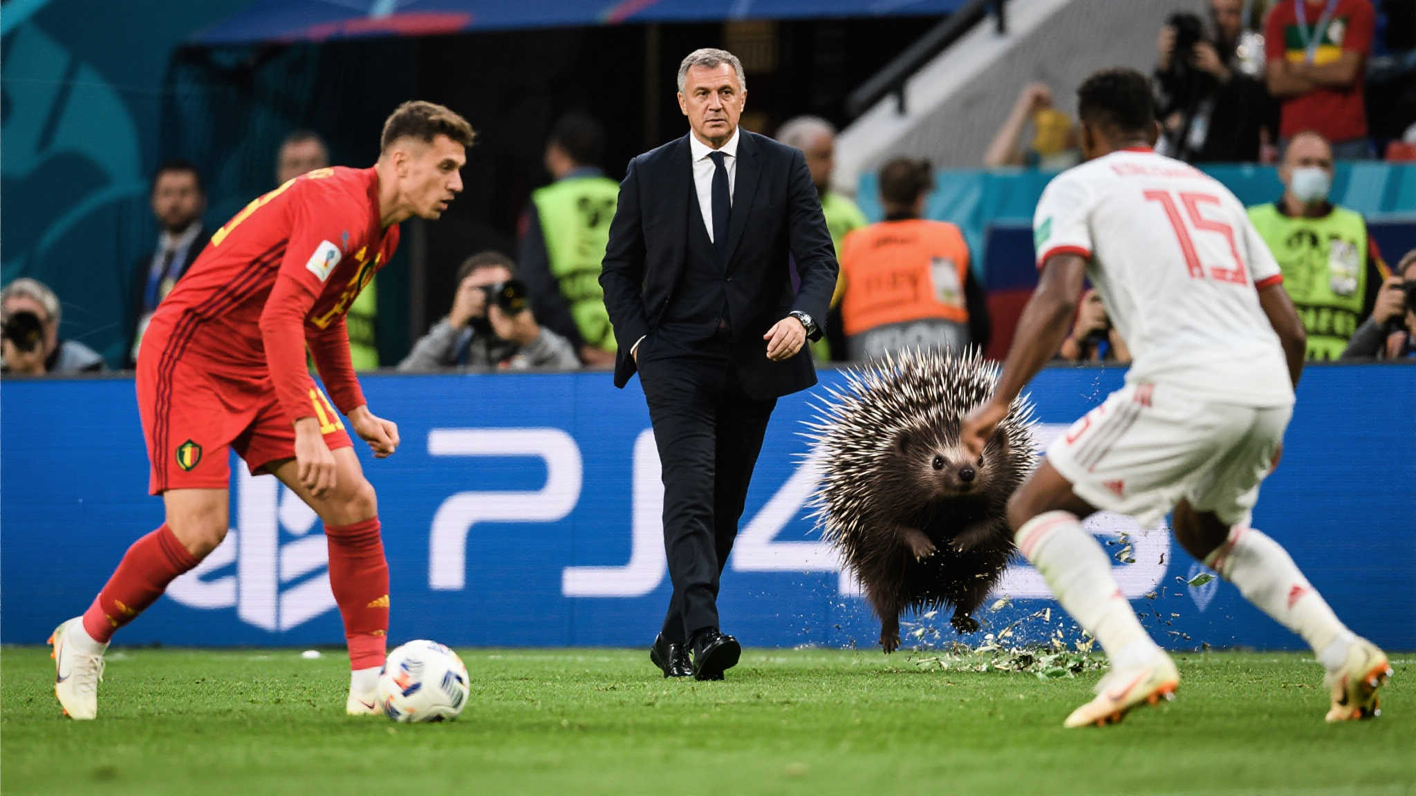 九游体育概况简介